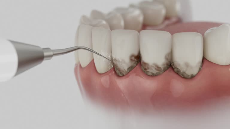 Reliable Dental contractor in Vandalia, IL by Dentist Open Now